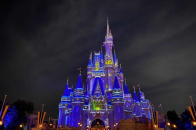 Hours Extended on Select Dates in February at Magic Kingdom, EPCOT, and Disney’s Animal Kingdom