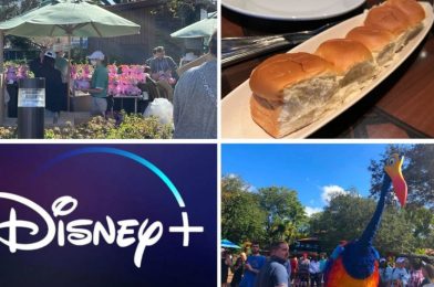 Figment Popcorn Bucket Almost Sold Out, ‘Ohana Runs Out of Signature Bread, and More: Daily Recap (1/17/22)