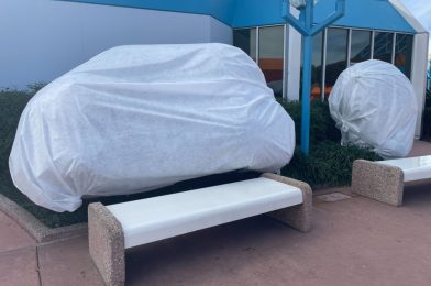 PHOTOS: EPCOT Plants Covered to Prepare for Freezing Temperatures