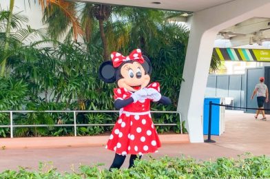 Disney is Celebrating National Polka Dot Day With NEW Interactive Experiences!