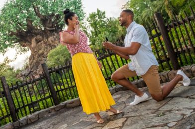 Private Photo Sessions Coming to TWO More Disney World Parks!