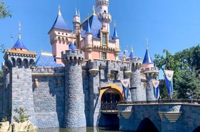 A Popular Disneyland Ride Just CLOSED for Refurbishment