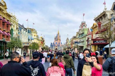 15 Things YOU Think Are NOT Worth The Hype in Disney World 🚫
