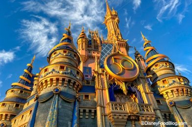 PHOTOS: Bring Home a 50th Anniversary Castle for LESS than $50 in Disney World!