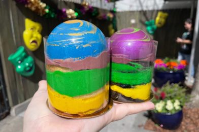 REVIEW: Bourbon Chocolate Pecan and Snickerdoodle Mardi Gras Planet Trifle Cakes from Universal’s Tribute Store are Out of this World