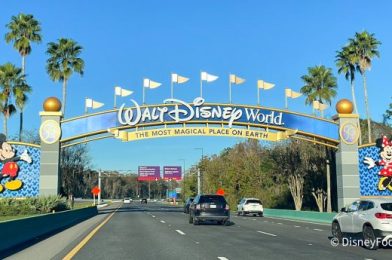 Florida Governor Comments on Potential Action that Could CHANGE the Way Disney World Operates