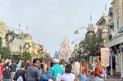 5 Places That Are ALWAYS Stressful in Disney and Where to Go Instead
