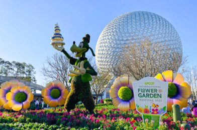 PHOTOS & VIDEO: Have You Noticed the Latest 50th Anniversary Addition in Disney World?