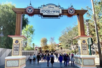 REVIEW: Obsessed with Avocado Toast? Here’s Where You Should Go at the 2022 Disney California Adventure Food and Wine Festival