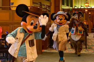 Disneyland Hints at the Return of “Normal” Character Dining