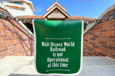 All the Disney World Hotels and Rides that Are CLOSED This May