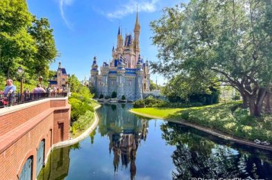 8 Disney World Construction Updates to Know About Before Your Next Trip