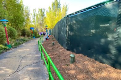 Land Continues to Be Cleared For More Seating at Woody’s Lunch Box in Toy Story Land at Disney’s Hollywood Studios