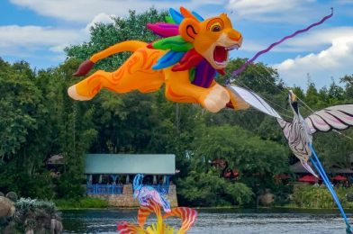 CHANGES Made to KiteTails in Disney World