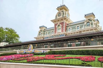 What’s New in Magic Kingdom: The Monte Cristo and Mickey Balloons Are MISSING!