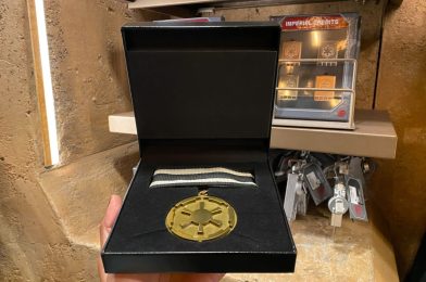New Imperial Crest Medal Marches Into Star Wars: Galaxy’s Edge in Disneyland Park