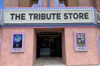 Full Tour of Classic Movie-Themed Summer Tribute Store Featuring Jaws, Back to the Future, and E.T. at Universal Studios Florida