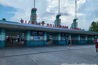 What’s New in Hollywood Studios: Tower of Terror Wait Times Should DROP