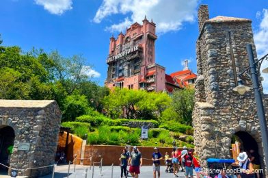Why Tower of Terror Wait Times Might FINALLY Go Down in Disney World