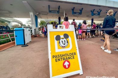 5 NEW Annual Passholder Exclusives Announced for Disney World!