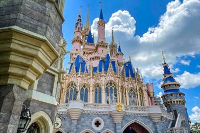 Top Sunscreens for Your 2022 Disney Trip