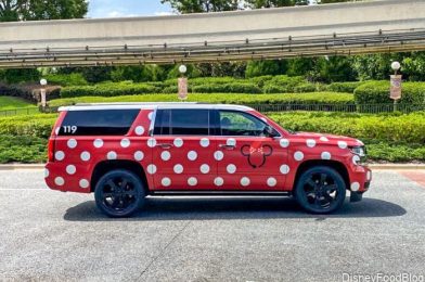 Surprise! Minnie Vans Available in Disney World Weeks Ahead of Official Return