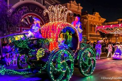Follow Along as We Find Out If Disneyland’s Parade Dining Package Is Worth the Time and Money!