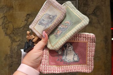 New Creature Stall Pouch Set in Star Wars: Galaxy’s Edge