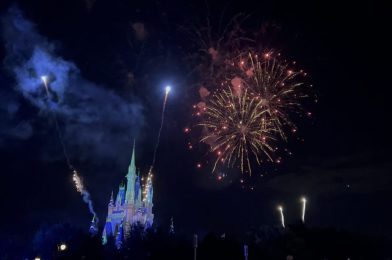 Disney to Cover Travel Costs for Employee Abortions, Enchantment Fireworks to be Presented Twice Nightly Select Nights in July, and More: Daily Recap (6/24/22)