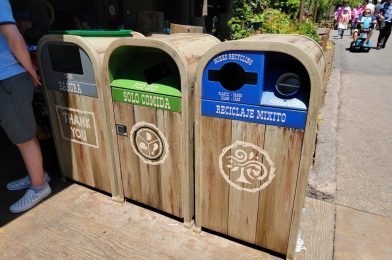 Bilingual Recycling, Food Waste, and Trash Cans Added to Hungry Bear Restaurant at Disneyland
