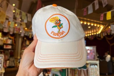 New Orange Bird Ball Cap Joins Vault Collection at Walt Disney World