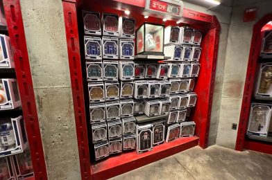 New R-Series Accessory Panels, Tow Cables, and More Attachments Available at Droid Depot in Disney’s Hollywood Studios