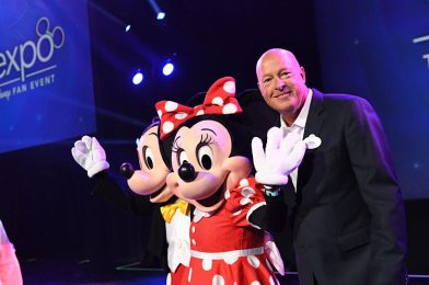 BREAKING NEWS: The Walt Disney Company Board Votes to Extend Bob Chapek’s Contract as CEO for Three Years