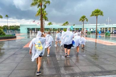 WARNING: Prepare for RAIN in Disney World This Holiday Weekend