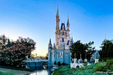 See What Parks You WON’T Be Able to Go to in Disney World Next Week