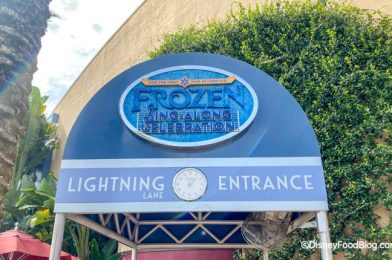 ‘Frozen’ Sing-Along to Temporarily CLOSE Soon in Disney World