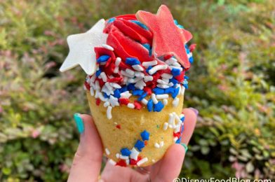 Act Fast If You Want to Try 2 Rare Disney World Treats!