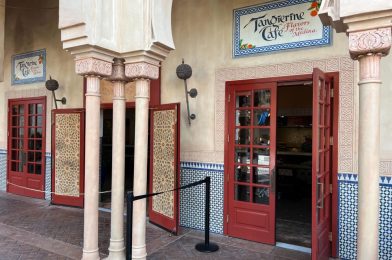 REVIEW: Spicy Chermoula Chicken Kabob Joins Returning Favorites at Tangierine Café: Flavors of the Medina for the 2022 EPCOT International Food & Wine Festival
