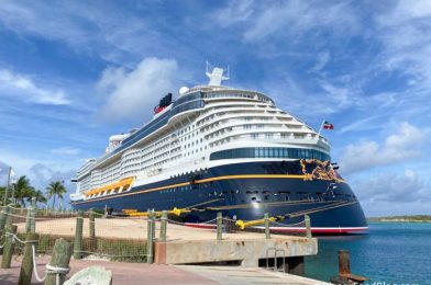 A Look at the COVID-19 Testing and Vaccination Policies For EVERY Major Cruise Line