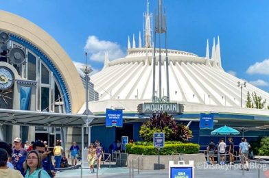 Space Mountain is DOWN in Disney World