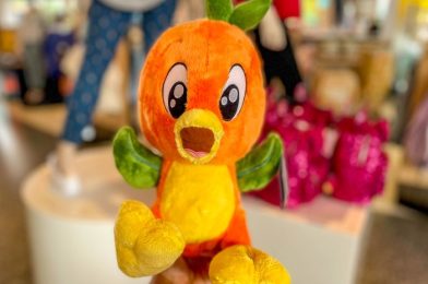 A GIANT Orange Bird Cake Pop and Cookie Have Arrived in Disney World!
