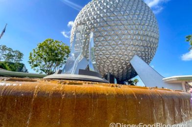 The 6 BIGGEST Construction Updates from Disney World This Week
