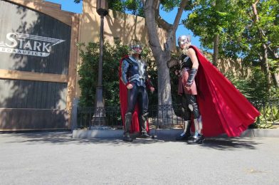 PHOTOS, VIDEO: Meet the Mighty Thor and See if You’re Worthy Enough to Lift Mjolnir in Avengers Campus at Disney California Adventure