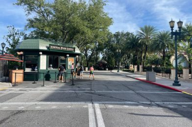 Pathway to Woody Woodpecker’s KidZone Reopens at Universal Studios Florida