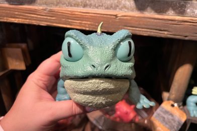 Adopt a Gorg From the Creature Stall in Star Wars: Galaxy’s Edge at Disney’s Hollywood Studios