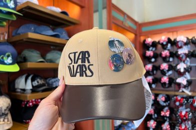 Merchandise Roundup 07/20/22: Disney Princess Activity Books, 50th Anniversary Tank Top, Woody’s Boot Snake Plant, East High Wildcats Bottle, and More