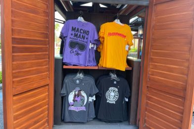 WWE T-Shirts Hit the Shelves at Universal Orlando Resort