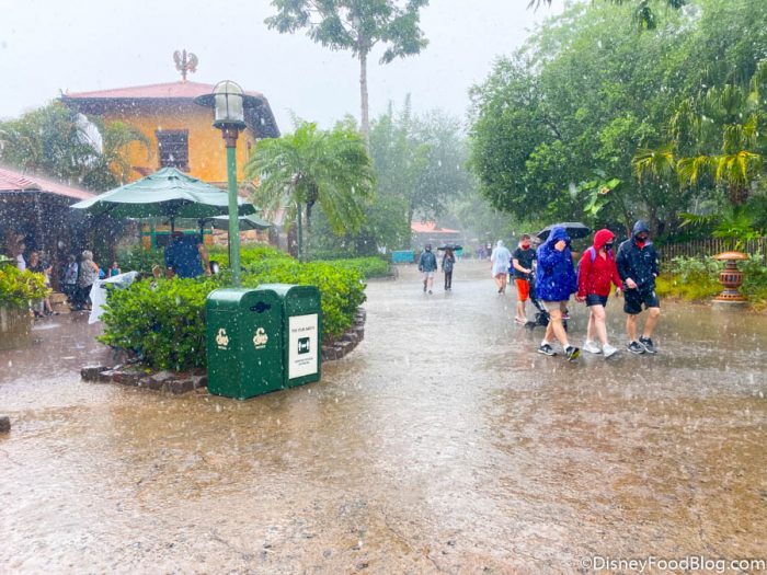 A Flood Advisory Has Been Issued Parts of Disney World - Disney by Mark