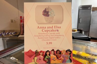 REVIEW: Anna & Elsa Cupcake Returns to EPCOT For World Princess Week
