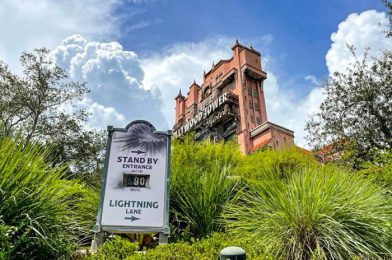 Step Into the Twilight Zone With the Newest Loungefly in Disney World
